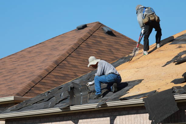 Best Roof Moss and Algae Removal  in Duncansville, PA