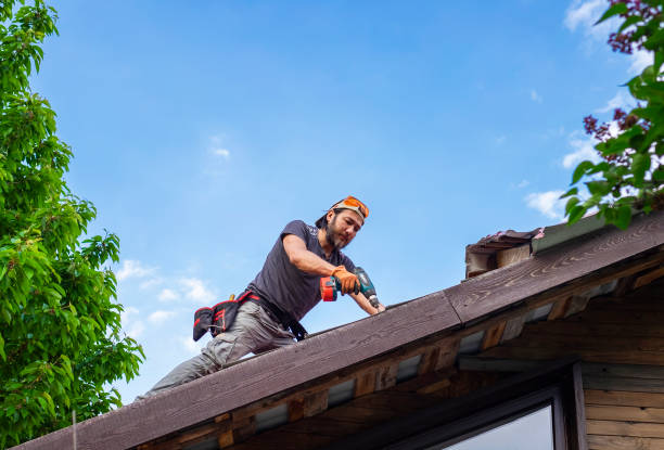 Best Roof Insulation Installation  in Duncansville, PA