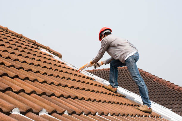 Best Storm Damage Roof Repair  in Duncansville, PA